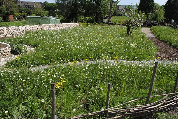 Führung im Naturgarten Brühl