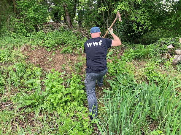 WWF- Natureinsatz in den Wiesenmatten (September) 