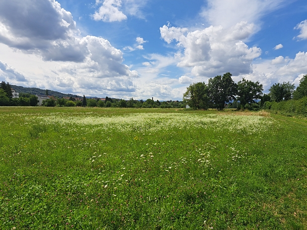 Freiwilligen Einsatz im Landschaftspark Wiese 