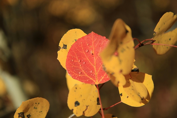 Foto von Patrick Hendry auf Unsplash